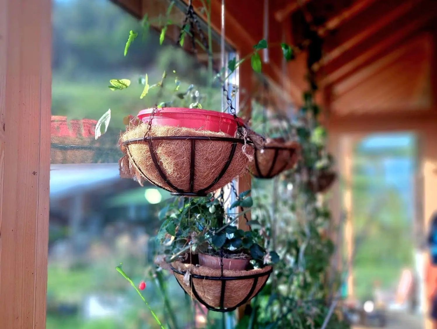 Salon confortable avec cheminée et meubles en bois